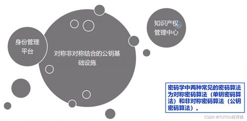 物聯網安全架構、基礎設施與安全軟件開發 構建可信的互聯世界