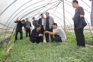 我?？萍脊ぷ髡呱祥T服務現代農業企業