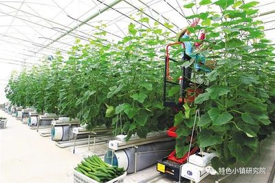 【新業(yè)態(tài)】休閑農(nóng)業(yè)、互聯(lián)網(wǎng)+農(nóng)業(yè)、智慧農(nóng)業(yè)&hellip;