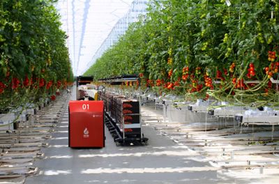 江蘇綠港-蒙城興農綠港現代農業科技產業園項目正式開工