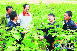 十年一鳴海南農業科技110 鳥槍換炮 惠農民