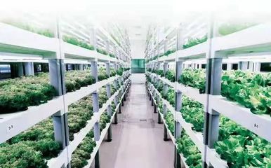 創(chuàng)新驅動!國家電投科技創(chuàng)新成果落地