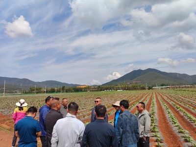 昆明市種子管理站聯(lián)合昆明市烤煙生產(chǎn)辦公室到尋甸縣開展科技增糧服務工作