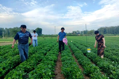 學黨史辦實事!河南桐柏縣將農(nóng)業(yè)科技送到田間地頭