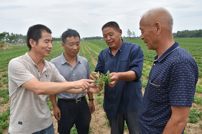 河南省正陽縣政協(xié)精準扶貧 科技進田--人民政協(xié)網(wǎng)