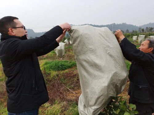 衢州寒潮這場(chǎng)雪,你見(jiàn)了嗎