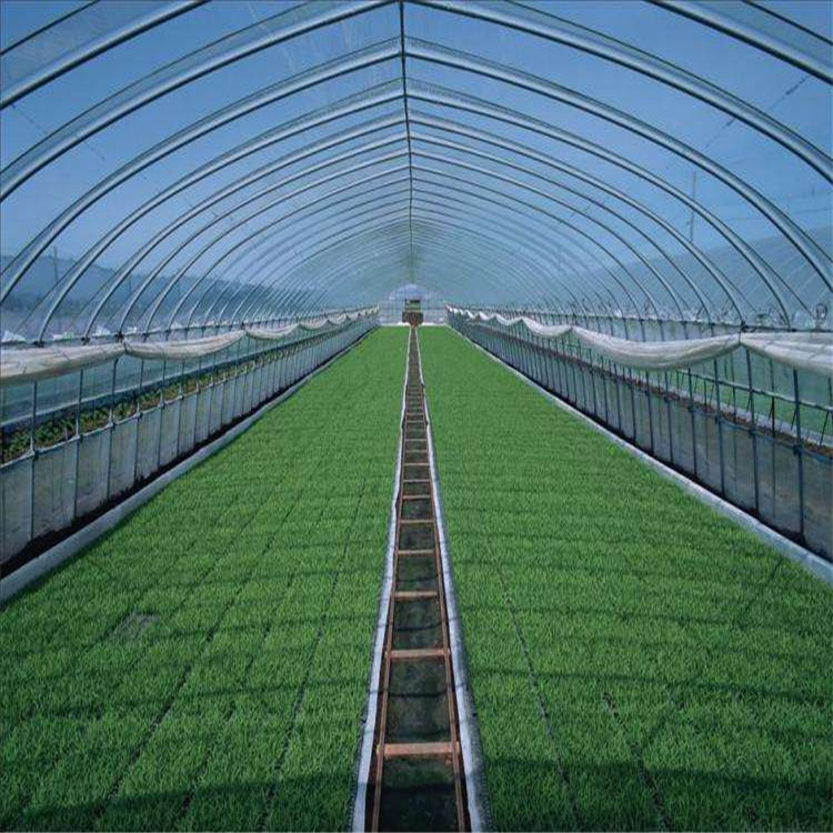 產(chǎn)品報(bào)價(jià) 連棟薄膜溫室 薄膜溫室大棚 服務(wù)熱線 - 壽光市方立農(nóng)業(yè)科技