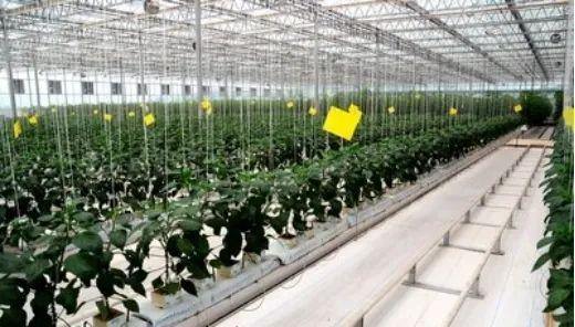 農(nóng)業(yè)特色小鎮(zhèn)中的三大類產(chǎn)業(yè),缺一不可