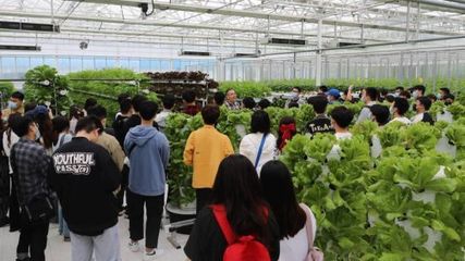 首都高校學生走進智慧農(nóng)業(yè)實驗溫室體驗農(nóng)業(yè)黑科技