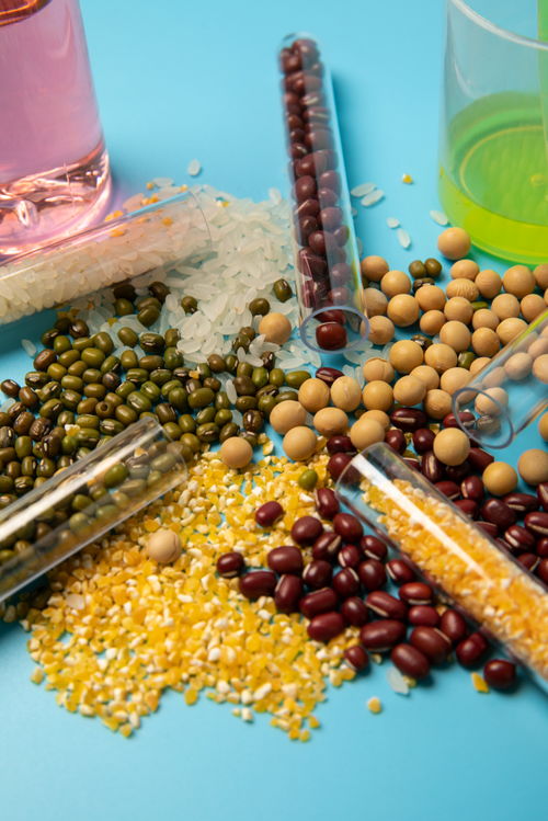 五谷食品安全農(nóng)業(yè)科技食品培育攝影圖 插畫(huà) 下載至來(lái)源處