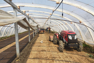 銅山區(qū)黃集鎮(zhèn)政協(xié)聯(lián)絡(luò)組在行動(dòng)