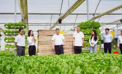 服務(wù)三農(nóng) 助力鄉(xiāng)村振興 河南日?qǐng)?bào)社南陽(yáng)分社黨支部聯(lián)合內(nèi)鄉(xiāng)縣中以高效農(nóng)業(yè)科技開(kāi)發(fā)黨支部開(kāi)展主題黨日活動(dòng)