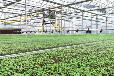 奮力繪就鄉(xiāng)村振興米易畫卷 --米易縣農(nóng)業(yè)農(nóng)村局全力推動(dòng)農(nóng)業(yè)農(nóng)村高質(zhì)量發(fā)展記