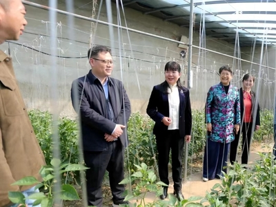 蚌埠市&ldquo;巾幗科技助農直通車&rdquo;開進五河縣朱頂鎮